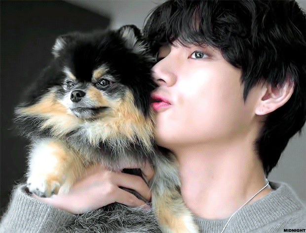 BTS(防弾少年団) V（ヴィ / ブイ / 뷔…